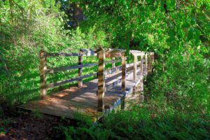 Bridge by Florence