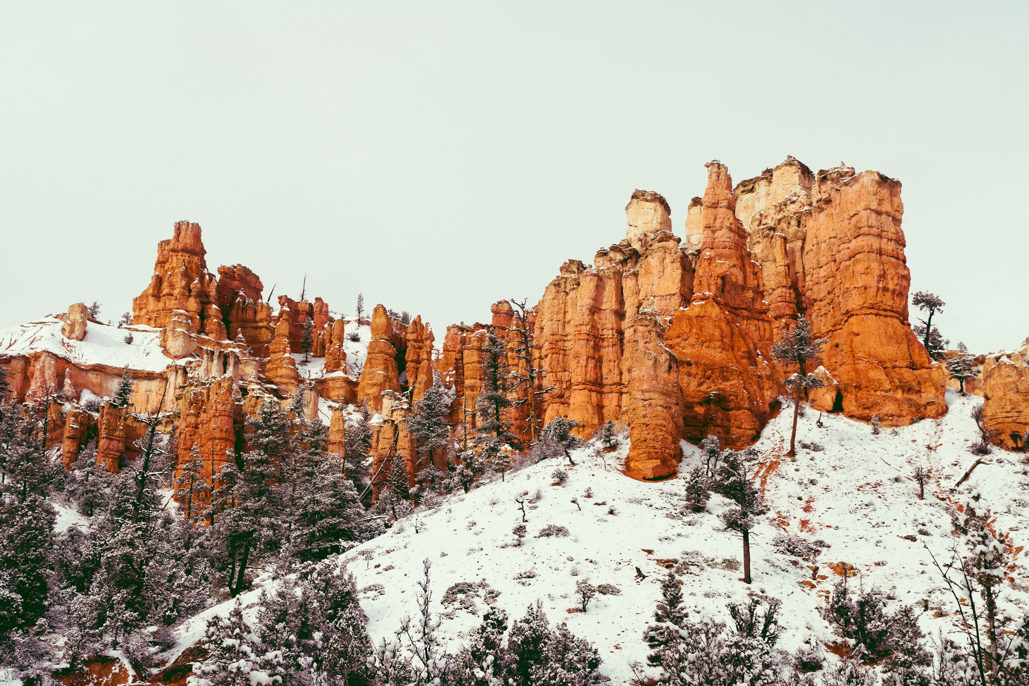 Red Hoodoos