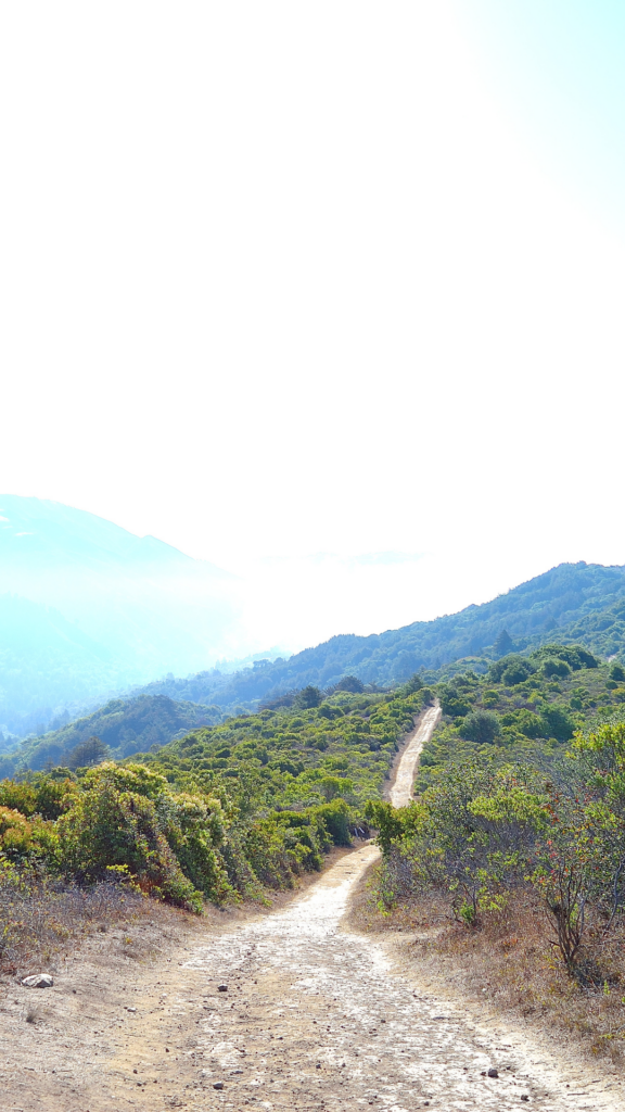 A well trodden path leads towards a broad sunbeam on the coastal mountains of Big Sur, California. Photo taken by American photographer Carson Goldsmith.